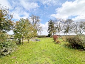 Garden- click for photo gallery